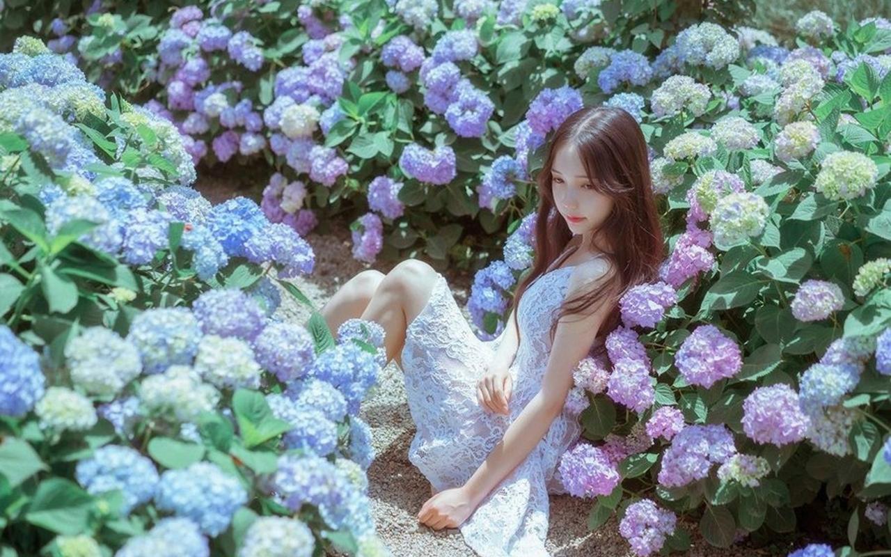 云南普洱亚洲象组团觅食 多部门加强监测